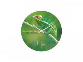 Часы настенные Nicole Time NT503 в Хорошем - horoshee.mebel-nsk.ru | фото