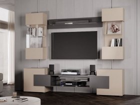 Гостиная Фэнтези (кашемир/графит) в Хорошем - horoshee.mebel-nsk.ru | фото
